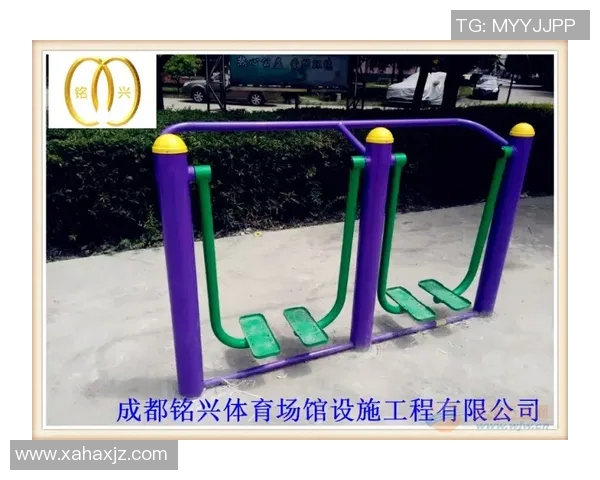 腿蹬健身器材：腿部训练器材推荐与使用技巧