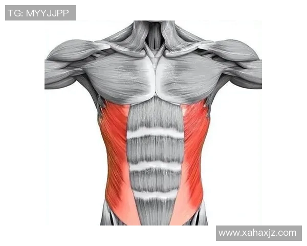 蛙泳动作要领详解从准备姿势到结束技巧全程解析